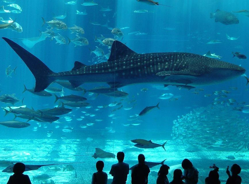 Parc aquatique à Bakırköy