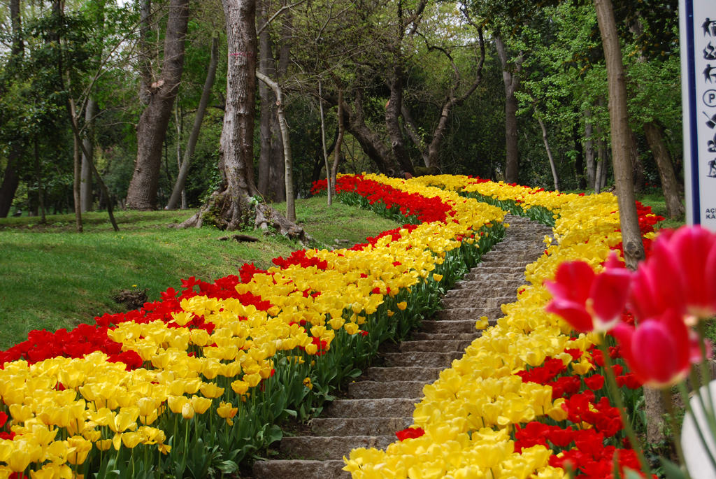 parc Yıldız 