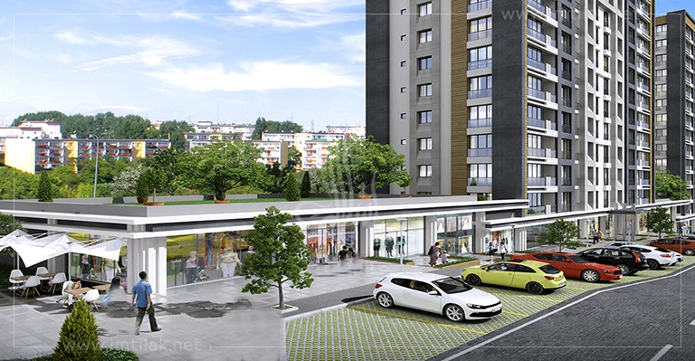Real Estate Consultant in Turkey