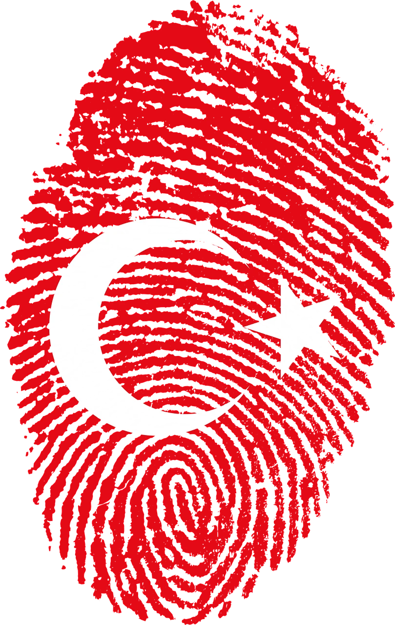Conditions for obtaining Turkish citizenship