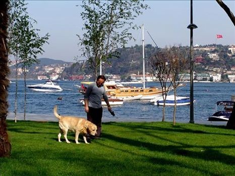 Prix des appartements à Beybek Istanbul