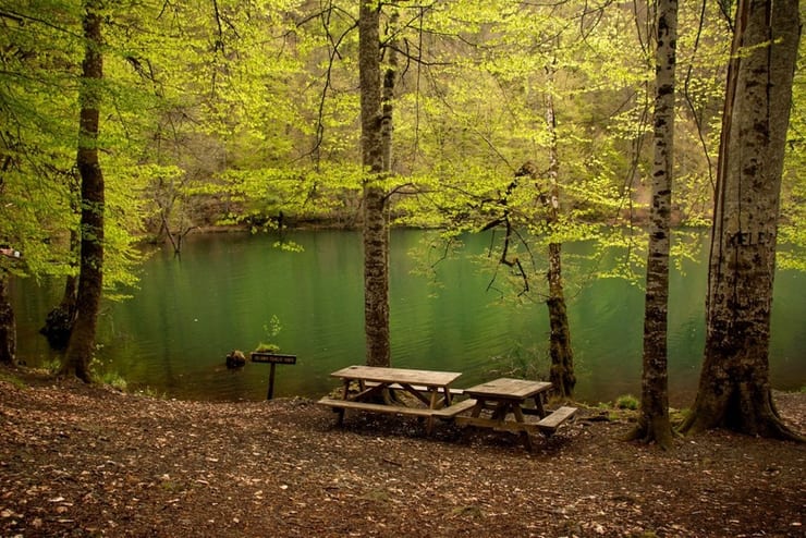 Yedigöller Parkı Bolu