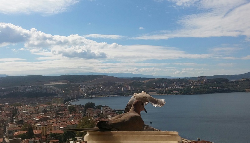 Gemlik