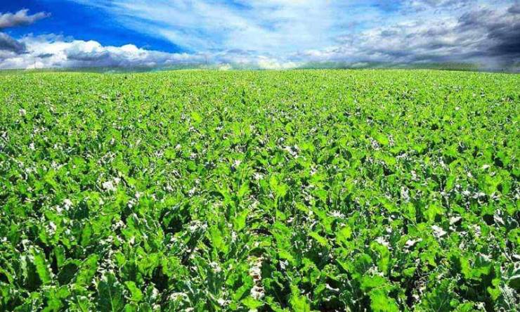 سرمایه گذاری در ترکیه در سال 2023