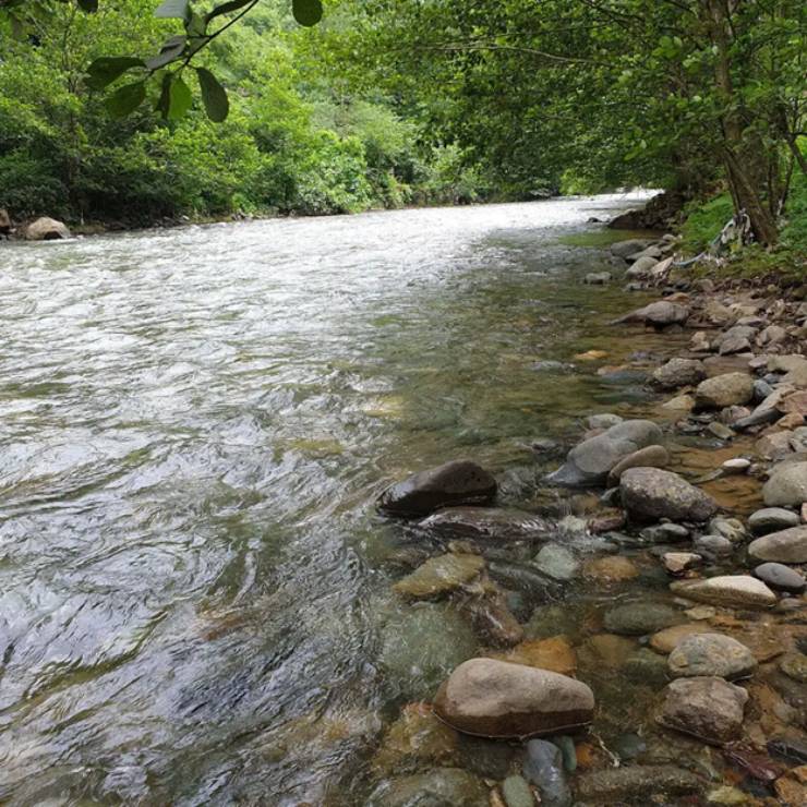 Arakli Trabzon