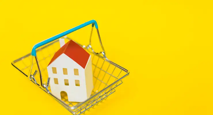 investissement immobilier