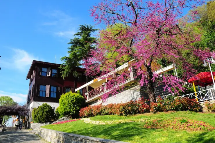 Üsküdar Bölgesi
