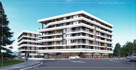 Projet Viale