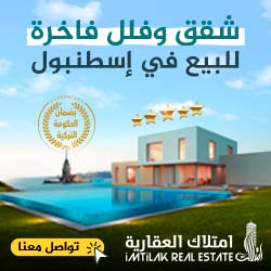 عربي: الضمان الحكومي جديد