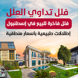 فلل فاخرة في اسطنبول