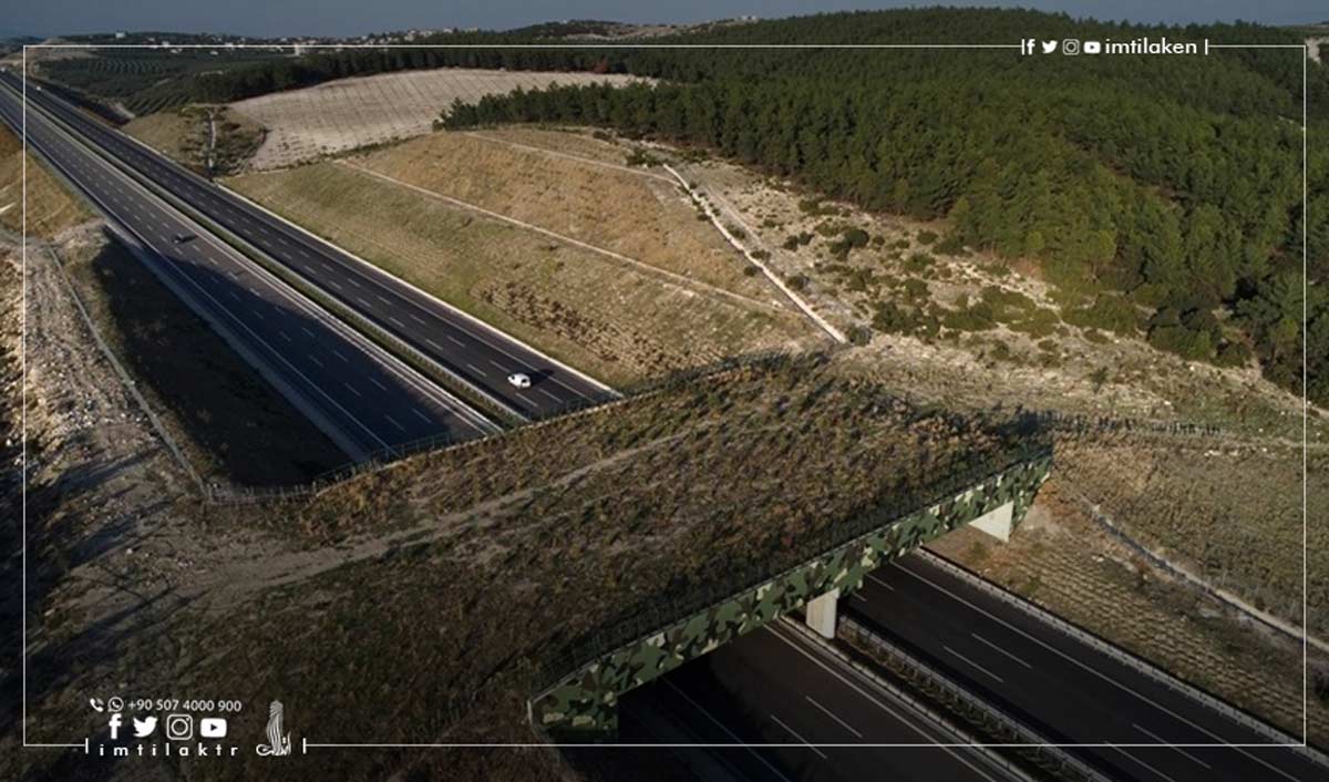 Route Istanbul-Izmir | Enrichir la faune et protéger l'environnement