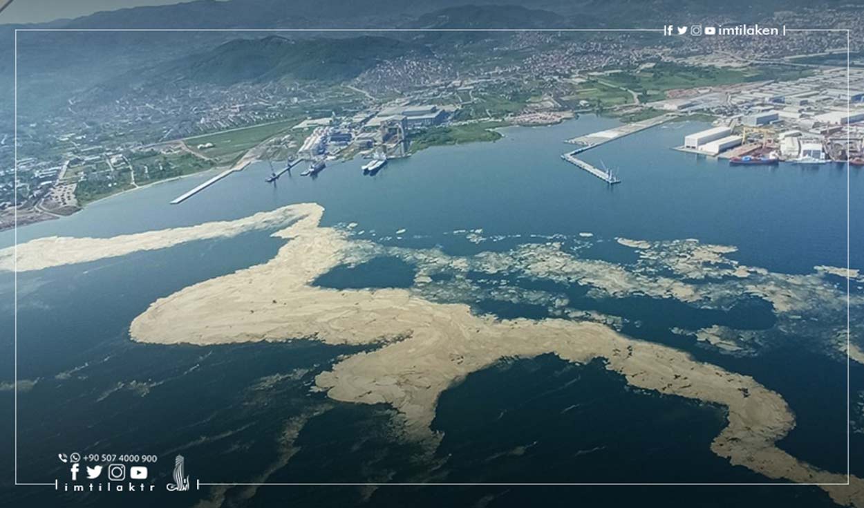 دریای مرمره در لیست مناطق حفاظت شده استانبول قرار گرفت.