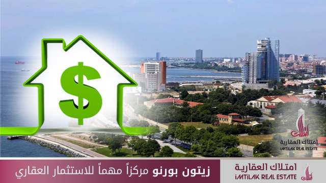 زيتون بورنو مركزاً مهماً للاستثمار العقاري في إسطنبول زيتون بورنو مركز مهم للاستثمار العقاري في إسطنبول