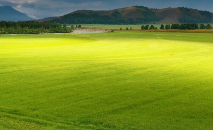 Agricultural land