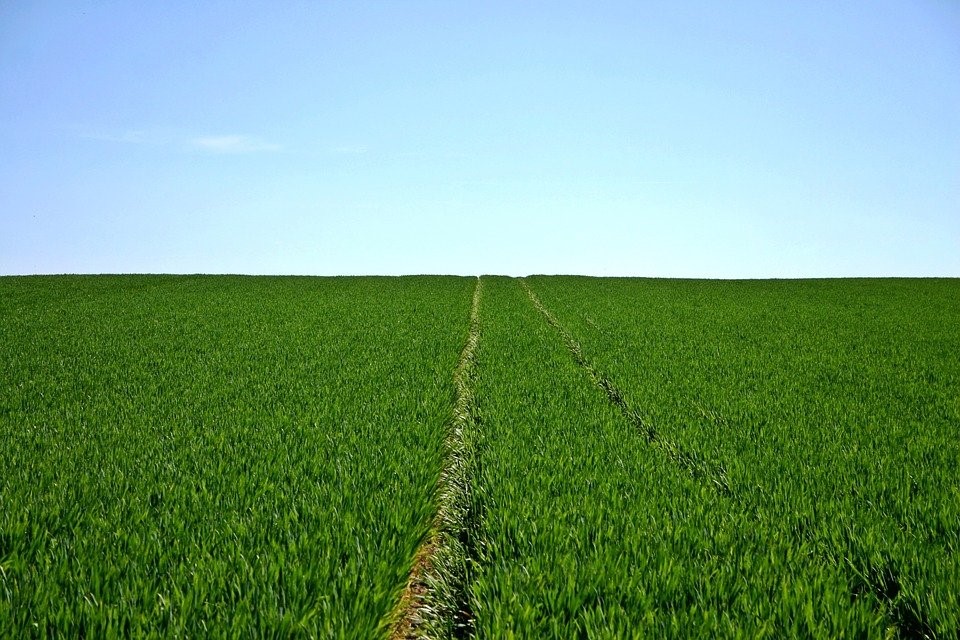 Terrains en Turquie