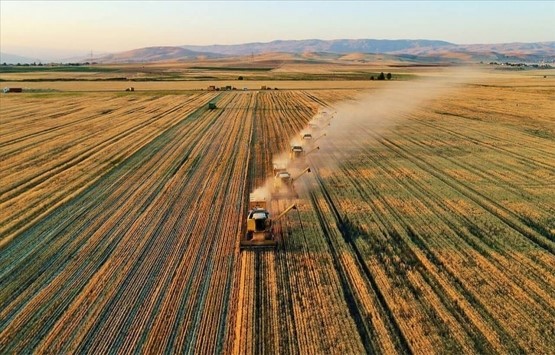 Land prices in Turkey