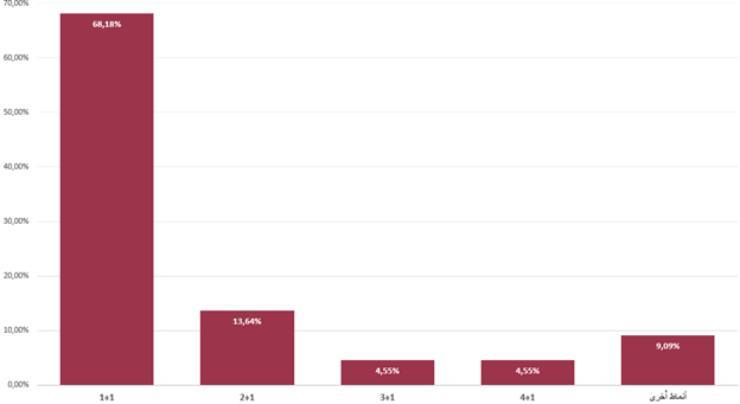 1+1 apartments are the most popular among foreign investors