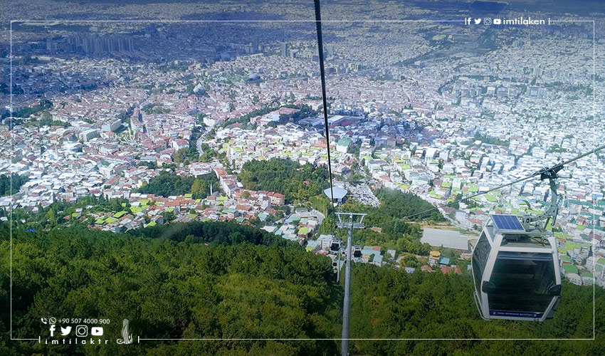 جبل أولوداغ والشجرة التاريخية المعمرة في مدينة بورصة