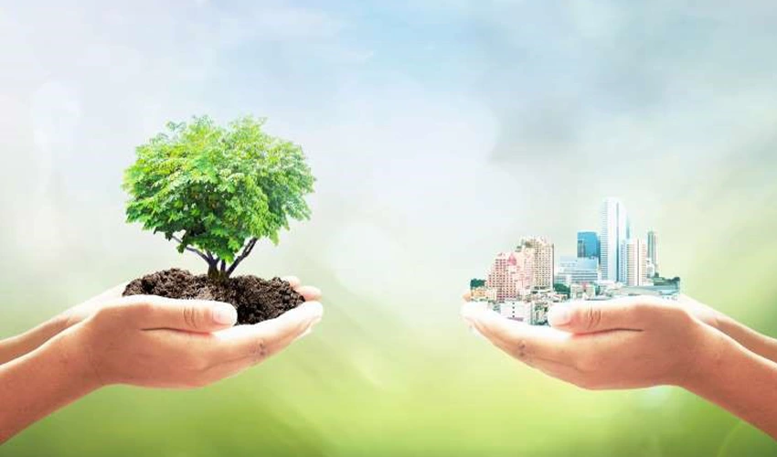 Sustainable Real Estate Investment: A Guide for Beginners