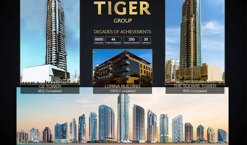 معلومات مفصلة حول مجموعة تايجر العقارية في دبي