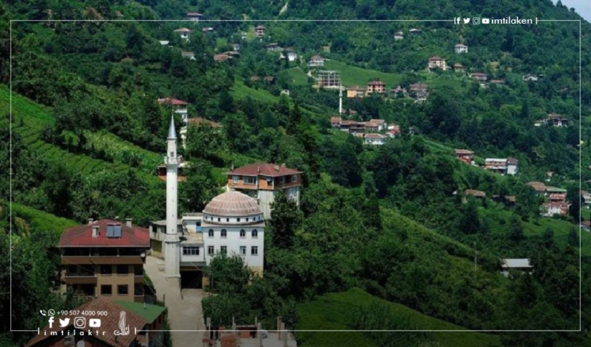 Detailed information about the Arsin district in Trabzon