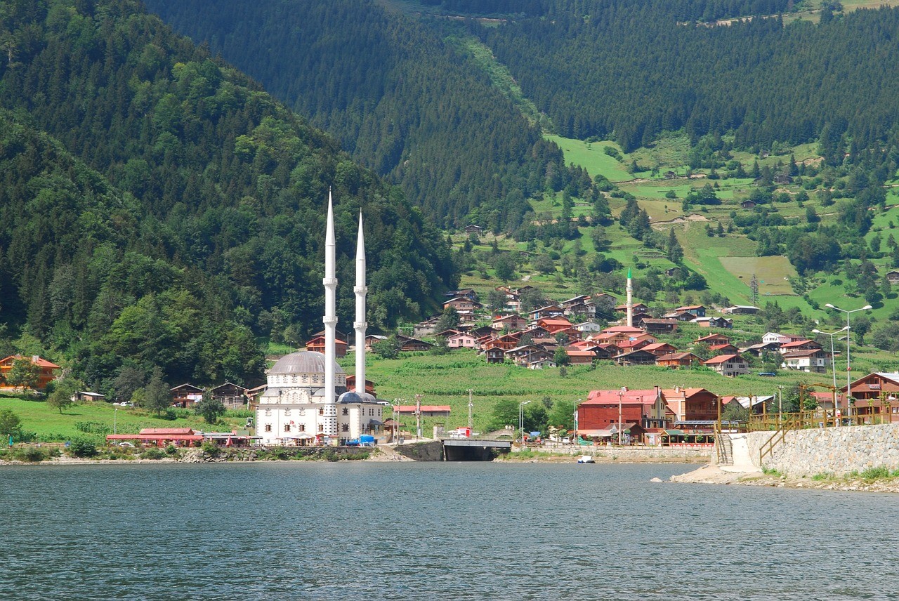 Appartements à Trabzon 