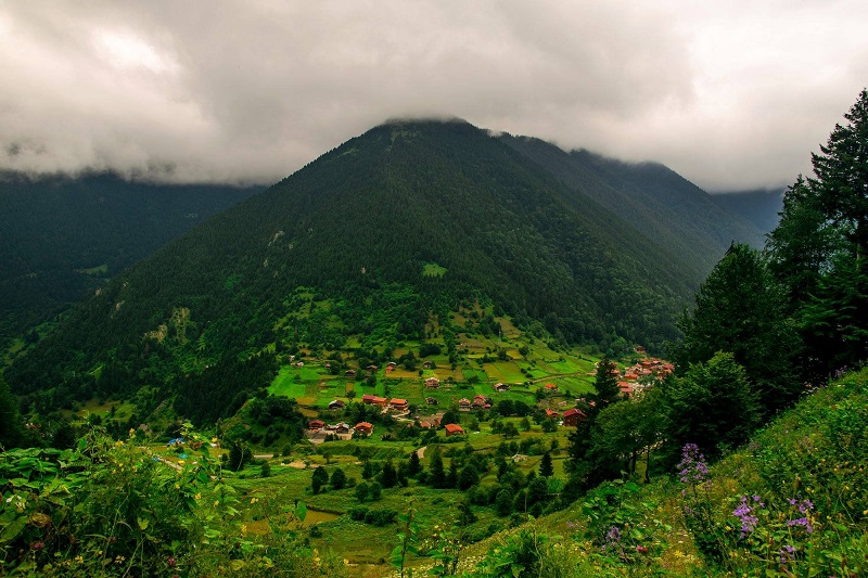 Real Estate in Trabzon