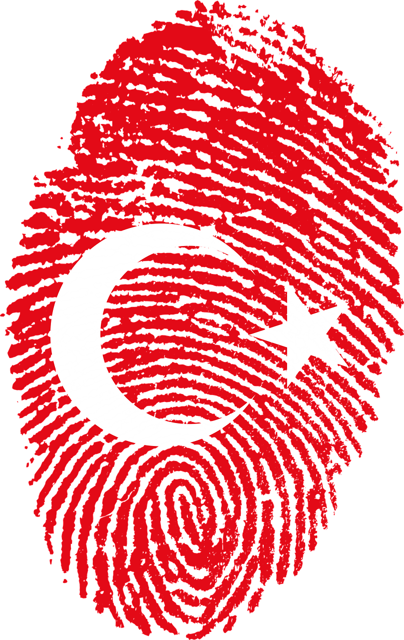 Conditions for obtaining Turkish citizenship