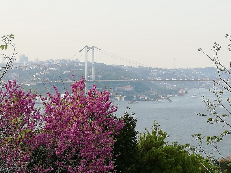 سواحل اسکودار