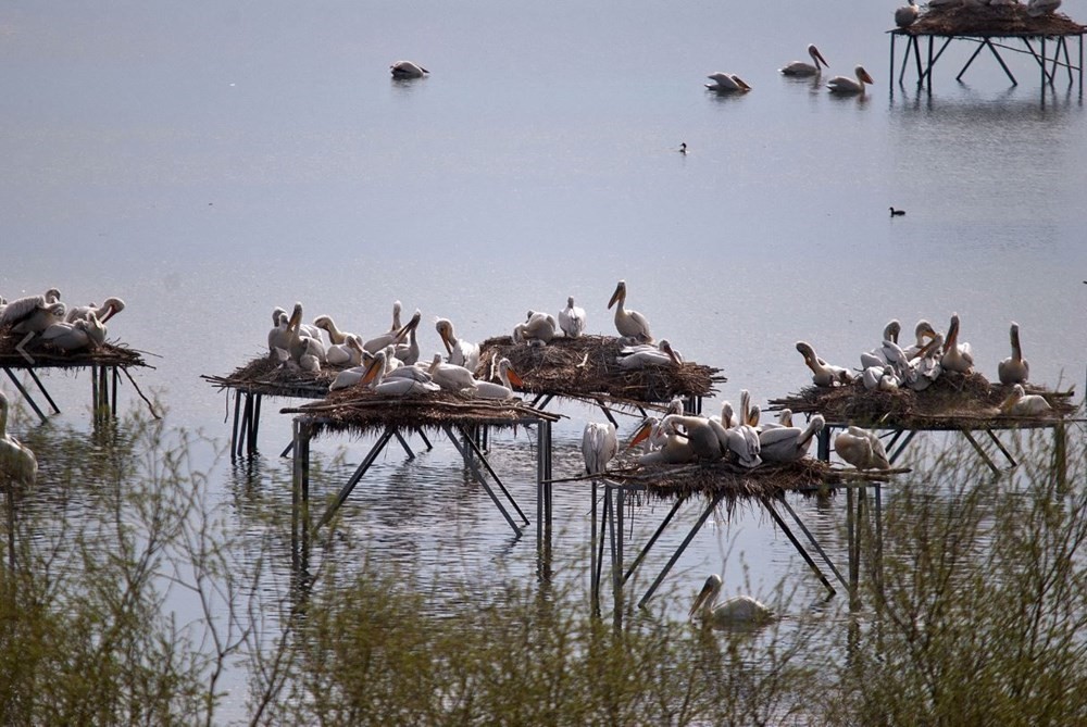 Bird Paradise National Park