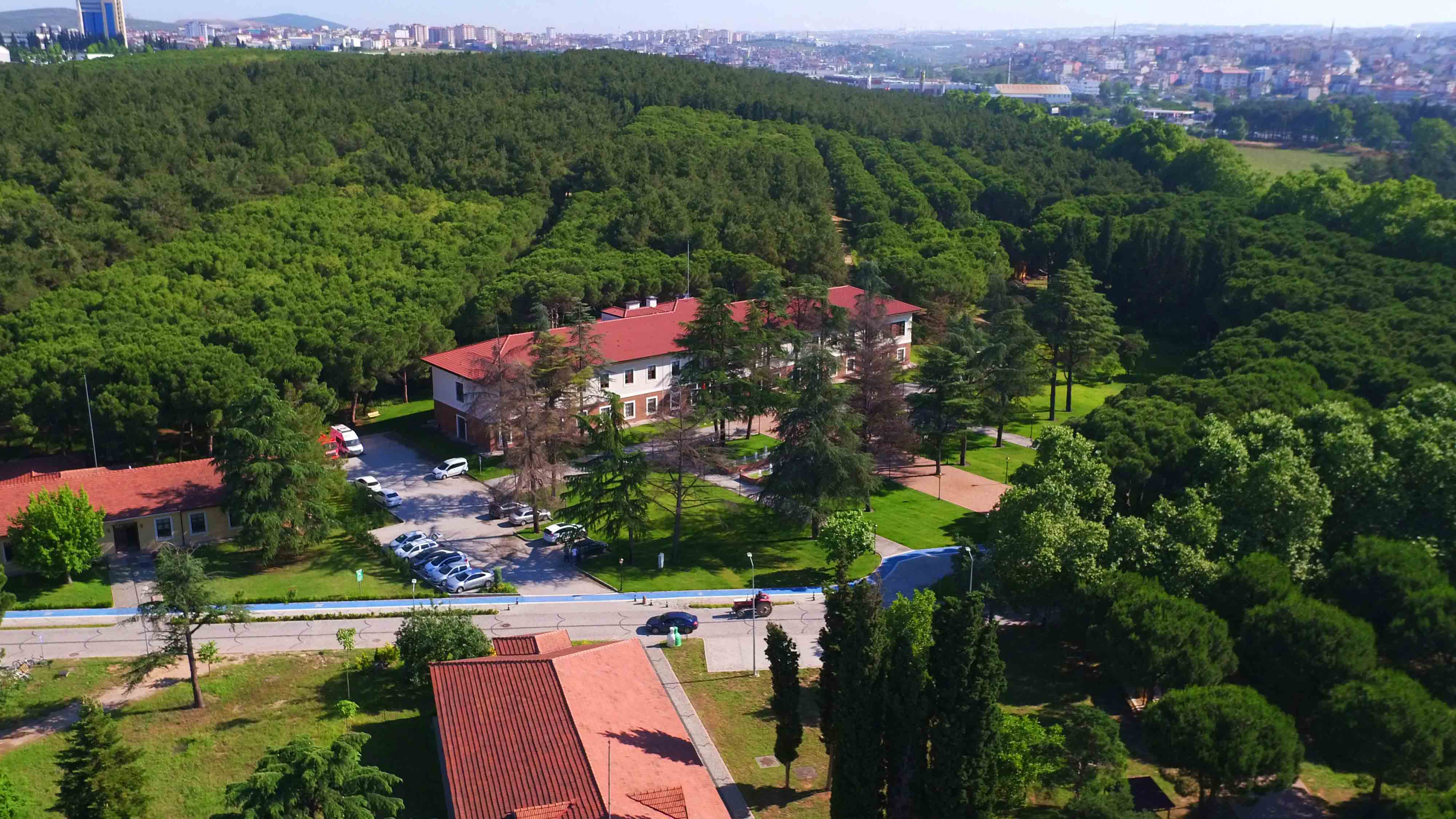 The costs of living in Kocaeli