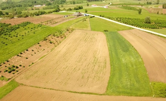 Land in Bursa