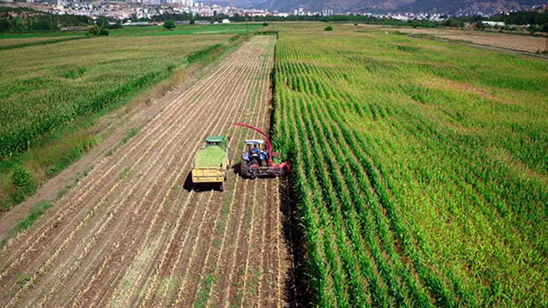 قانون سرمایه گذاری کشاورزی در ترکیه برای خارجی ها