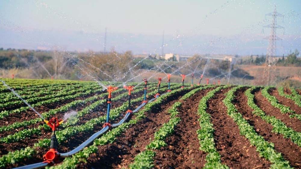 Agricultural investment companies in Turkey