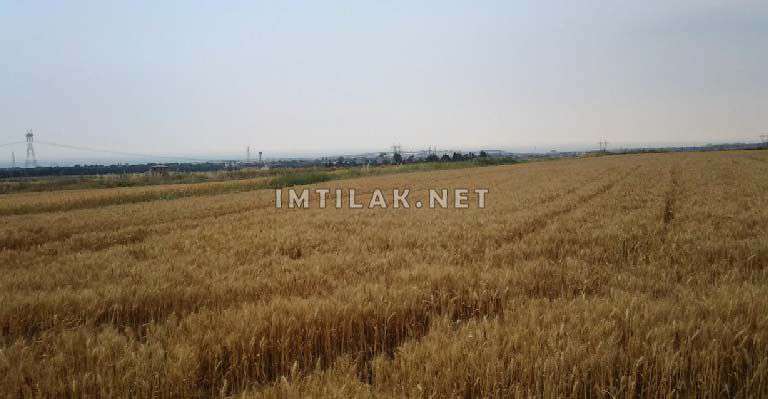 Lands for Sale in Silivri- Suitable for Investment Land For Sale In Turkey - Invest In Istanbul Real Estate