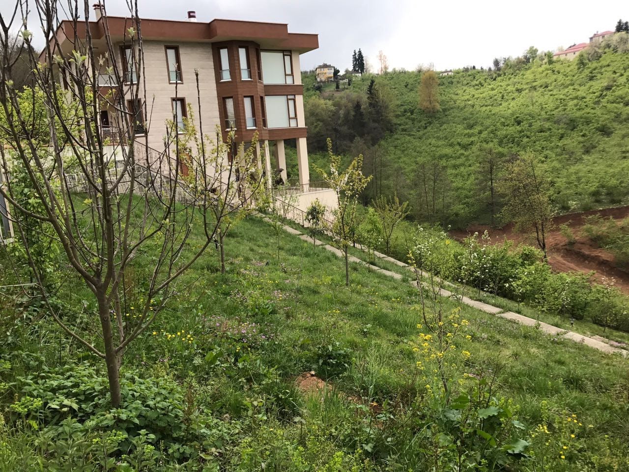 Cheap Farms for Sale in Trabzon Turkey