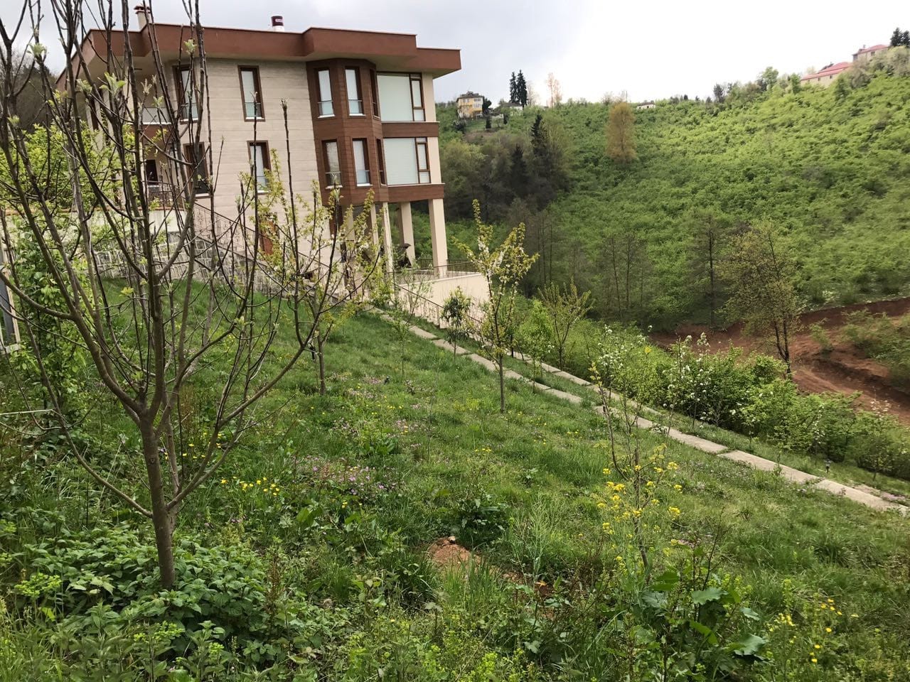 Fermes bon marché à vendre à Trabzon Turquie