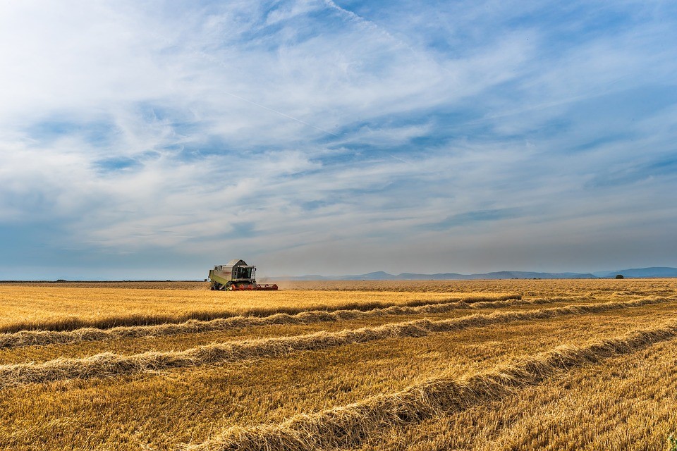 Farms Prices in Antalya Turkey