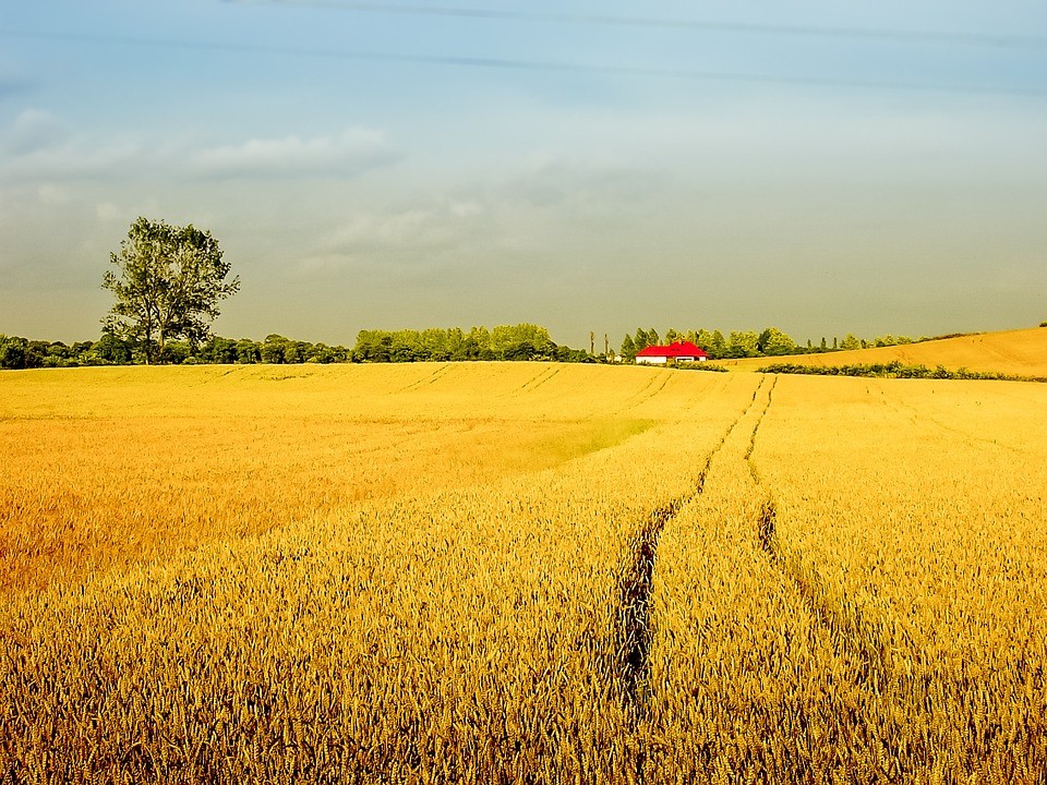 Cheap Farms for Sale in Antalya Turkey