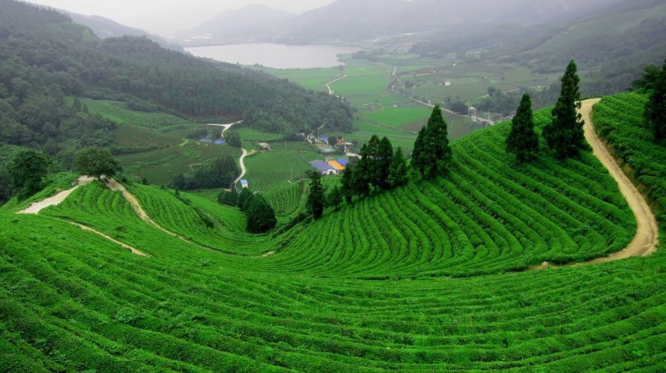 Terrain agricole à vendre à Antalya propice à l'investissement