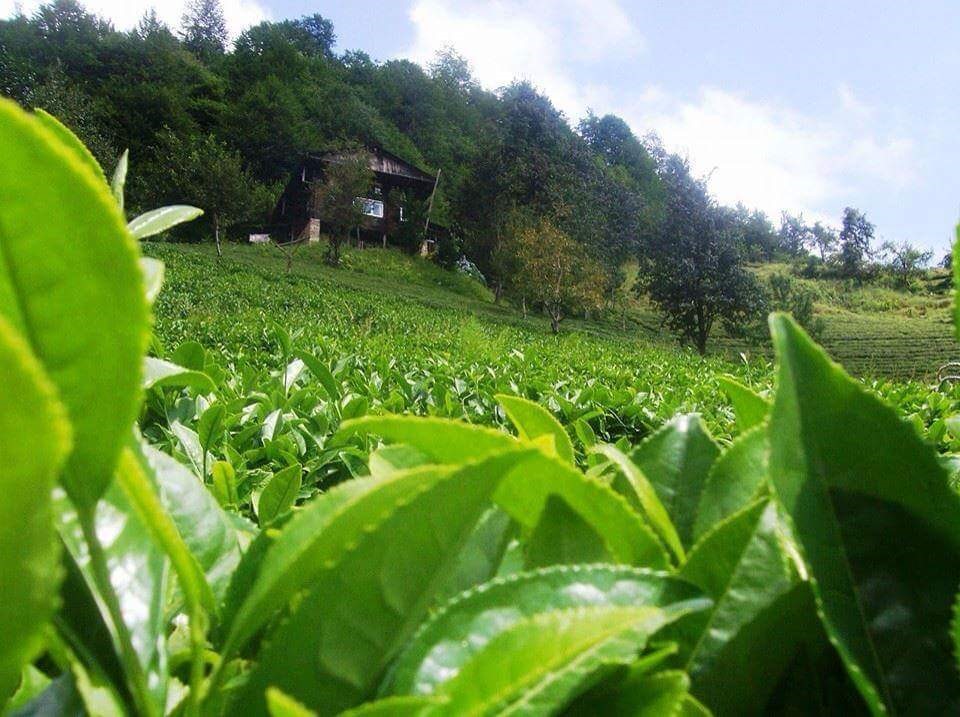 Fermes à vendre à Bursa Turquie